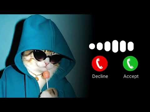 Funny Message Ringtone Cute Message Notification Tone