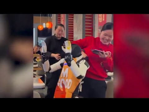 Dancing robot goes rogue in hot pot restaurant