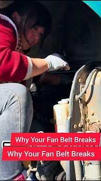 “Engine Trouble? Why Your Fan Belt Breaks & How to Fix It!”
