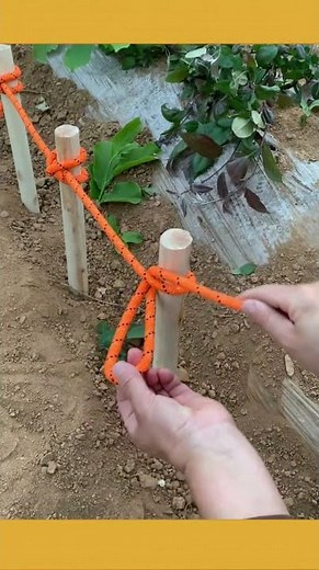 Learn this smart fence stake tying method! #knotskills #gardening #DIYtips #ropework