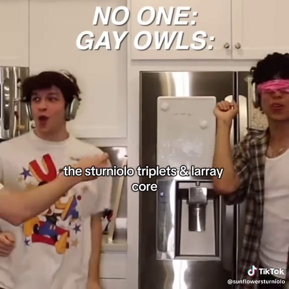 Happy Birthday Larray: Celebrating with the Sturniolo Triplets