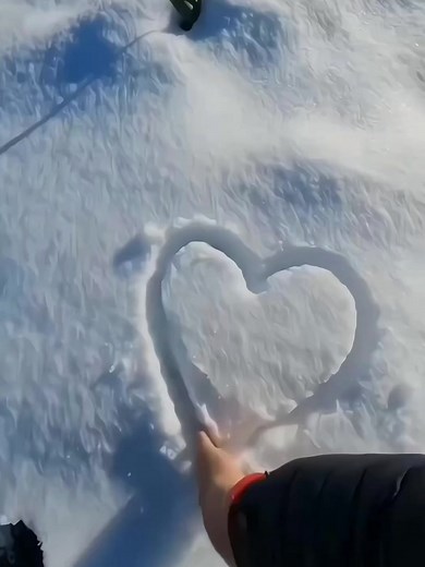 Majestic Eagle Videos - Watch Eagles Soar and Hunt