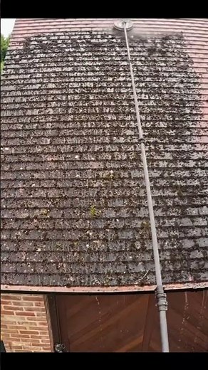 Incredible Moss Removal From Red Roof Tiles! #satisfying #pressurewashing