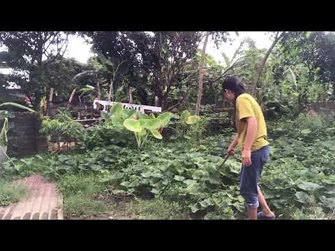 "Top 5 Adventure Destinations for Wildlife Lovers"