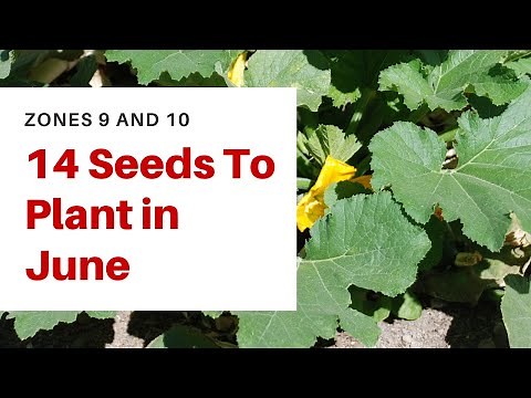 14 Seeds to Plant in June - [Zones 9 and 10]