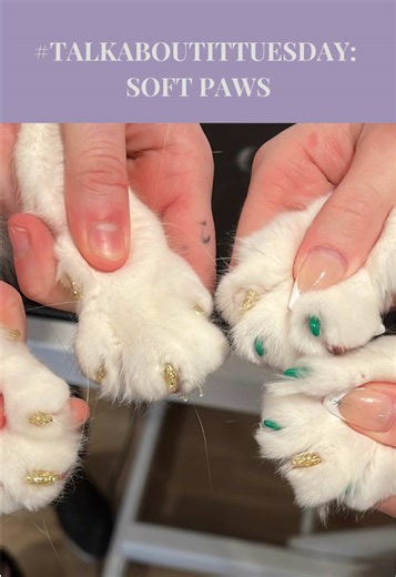 Soft Paws para gatos: Cuidado y beneficios