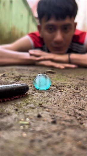 Millipedes appeared after smelling this candy#shortvideo #millipedes
