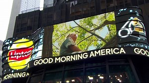 Lipton aired a commercial during the #GRAMMYS about tapping into something special - optimism in those everyday moments. Ginger Zee has the latest. | Good Morning America