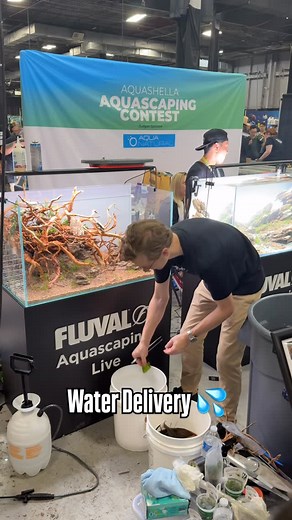 Aquashella Aquarium Festival | The @fluvalaquatics aquascaping contest is in full force! Some of the tanks are beginning to add water…stay tuned for the winner👀 Follow... | Instagram