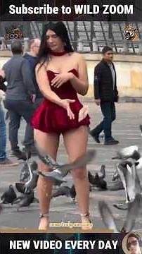 Incredible & Cute Animal Moments You Won't Find Anywhere Else!