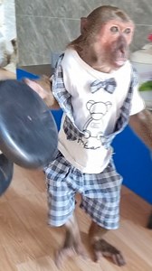 19K views · 485 reactions | so cute ABU brushing his teeth part 2 | Cutis | Facebook