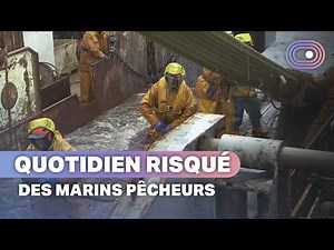 30 days in hell in the North Sea: the daily life of fishermen