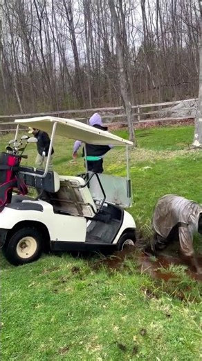 This golf cart had other plans 😂💥