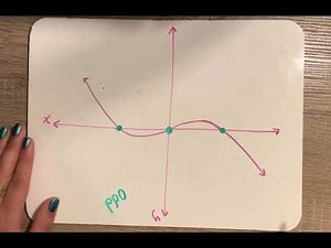 Polynomial Function Characteristics