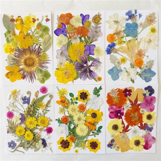 Real Pressed Dried Flowers & Leaves: Resin Art, Bookmarks, Card Making 25PCS - Etsy