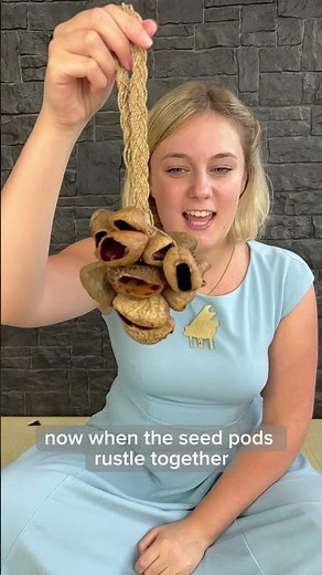 Shell Shaker Music Instrument: Music Lesson for Kids, Toddlers, and Preschool #kids #facts #music