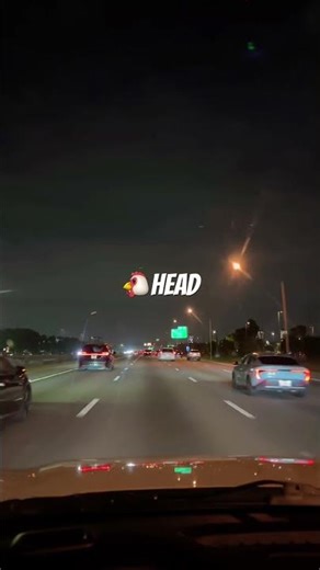 Project Pat 3-6 Mafia- Chicken Head