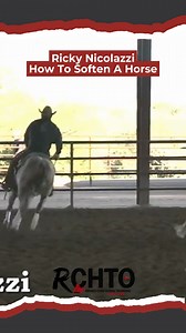 9.8K views · 167 reactions | Want your cow horse to perform smoothly...