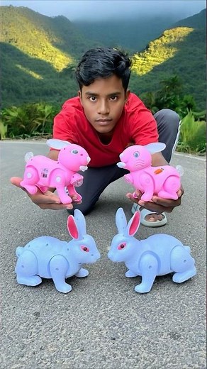 Rc Remote Control 4 ta Rabbit unboxing Dko 😍