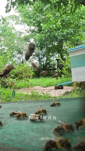 Why Linguists Fear This Letter #science #shorts