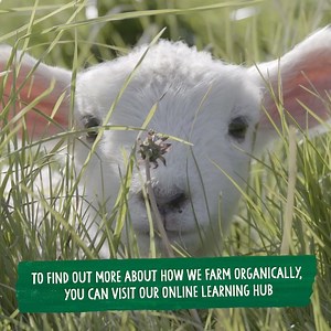 88K views · 72 reactions | We want to help the next generation learn...