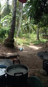 3.2M views · 49K reactions | Nag too na pud cya nga bahaw na pud. Kay cge Raman sya'g kaon ug bahaw. . #fypシ゚viralシfypシ゚ #highlightseveryone #fbreels #highlights | Katarugo Alfred Predas | Facebook