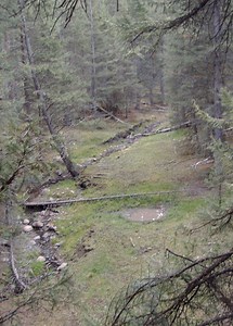 Elk Hunting from a Blind - 3 Tips for Success [Video] - Elk Hunters Guide