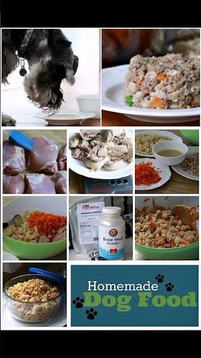 How to make dog food at home (DIY Dog Meals Made Easy)