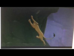 Cincinnati’s Roar (Red Icee Channel Crossover)