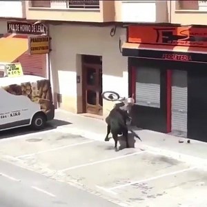 30K views · 198 reactions | Try explaining this one to your insurance | Bike World | Facebook