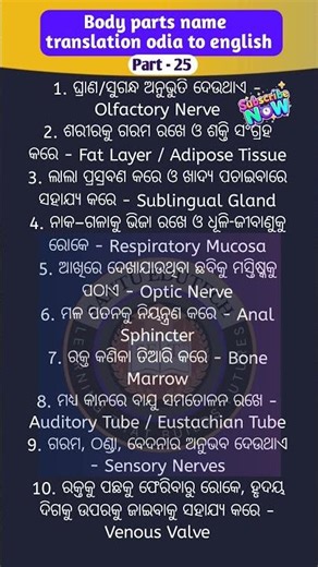 Body parts name translation odia to english | part - 25 | #bodypartsname #translation #odiatoenglish