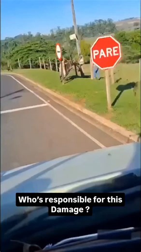 Cops Camera on Instagram: "Bull Chases Man on Road, Smashes Into BMW—Who Pays the Damage Now? 😳🐂🚗💥 A man running for his life gets chased by a bull, leading to a shocking car crash caught on camera. 1. A man is sprinting down a public road, clearly scared. 2. A bull is running right behind him, chasing aggressively. 3. Cars slow down as the man tries to escape. 4. The bull suddenly changes direction toward a parked BMW. 5. The bull hits the BMW hard, shaking the car. 6. The impact pushes the