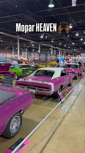 The Spring Special 🙌🏾 • • • • • #americanmuscle #mopar #moparornocar #dodgecharger #dodgechallenger #musclecar #carguy #chicago #dezzysspeedshop | Dezzys SpeedShop