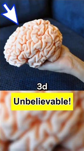 Incredible Rare Photos That Will Leave You Speechless and Completely Amazed | 121