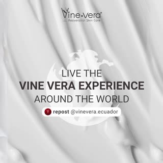 Take a seat and relax! Visit the nearest #VineVera store near you to invigorate your senses and feel brand new! vinevera.com | Vine Vera | Facebook