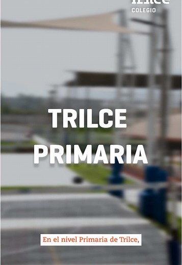 ✨ En Trilce nivel Primaria, utilizamos las mejores herramientas pedagógicas para que nuestros alumnos desarrollen al máximo todas sus habilidades. 🤗 📲 Más información de matricula: 922 336 565 o entra a nuestra página web copiando el link en tu navegador: https://www.trilce.edu.pe/matricula-2025/ Estudiar en Trilce SE NOTA 🧡