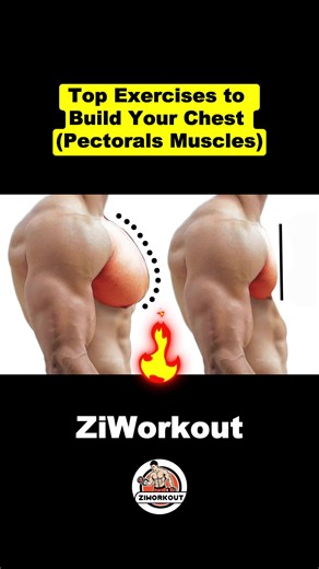 Top Exercises to Build Your Chest (Pectorals Muscles) #chestworkout #chestday #chestexercise #workout #exercise #fitness