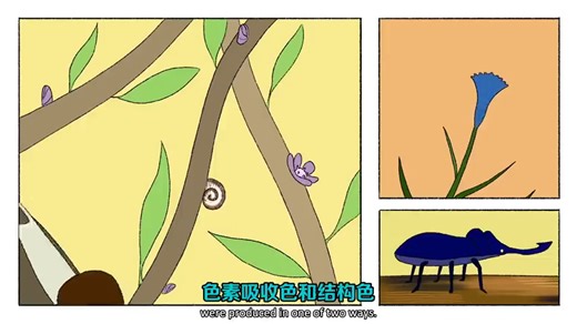 【TED-Ed】自然界中最稀有的颜色是什么？
