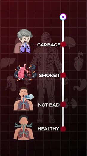 Body Reacts (@bodylabstudio)’s videos with original sound - Body Reacts