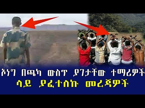 Ethiopia: Mereja Breaking News|ኦነግ በጫካ ውስጥ ያገታቸው ተማሪዎች ላይ ያፈተለኩ መረጃዎች
