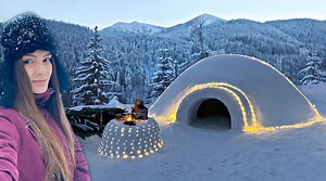 237K views · 7.9K reactions | Solo overnight in Snow shelter IGLOO Winter bushcraft camping Survival camp | Viral Webs | Facebook