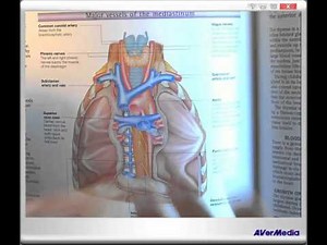 ICD 10 PCS Guidelines B3.3 Discontinued Procedures