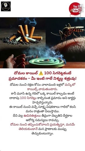 One mosquito coil = 100 cigarettes 🚨 #Danger #Mosquito #Shorts