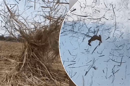 Wild ‘mini-tornado’ in Thailand causes hay straws to float in mid-air