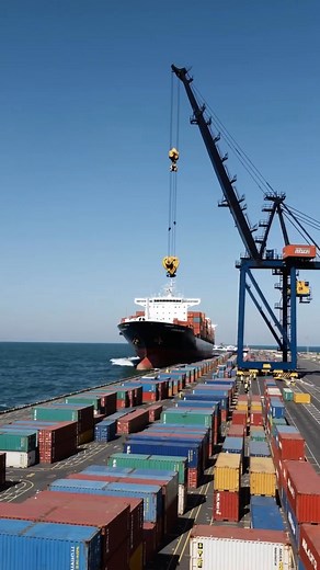 20K views · 46 reactions | @bilal.afridi989...