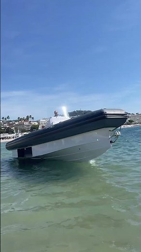 The capacity and manoeuvrability of the Iguana amphibious boat. 🚤 #amphibious #boat #iguanayachts
