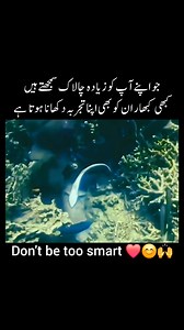 𝗝𝗼 𝗮𝗽𝗻𝗲 𝗮𝗮𝗽 𝗸𝗼 𝘇𝘆𝗮𝗱𝗮 𝗰𝗵𝗮𝗹𝗮𝗸 𝘀𝗮𝗺𝗮𝗷𝘁𝗲 𝗵𝗮𝗶𝗻 𝗸𝗵𝗮𝗯𝗶 𝗸𝘂𝗯𝗮𝗮𝗿 𝘂𝗻𝗸𝗼 𝗯𝗲 𝗮𝗽𝗻𝗮 𝘁𝗮𝗷𝗿𝘂𝗯𝗮 𝗱𝗲𝗸𝗵𝗮𝗻𝗮 𝗵𝗼𝘁𝗮 𝗵𝗮𝗶 ❤️🥰🙌💯 . 𝗙𝗼𝗹𝗹𝗼𝘄 𝗺𝗲 𝗳𝗼𝗿 𝗺𝗼𝗿𝗲 🖤🥀👉 𝐔𝐫𝐝𝐮 𝐩𝐨𝐞𝐭𝐫𝐲 . #aestheticpoetry #aesthetic #poetry #poetrylovers #urdupoetry #urdu #poetsofinstagram #sadpoetry #poetrycommunity #urdulines #urduquotes #writersofinstagram #quotes #pakistan #islamabad #urdulovers #karachi #insta #urdupoetrylovers #islamic #aestheticedits 