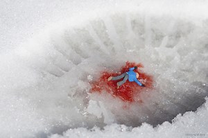 Tiny Man Crushed by Giant Foot in "Stroll" by The Little People Project