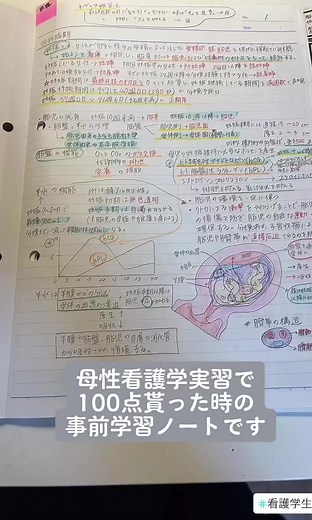 母性看護学実習事前学習ノート。母性実習100点いただたきました💮ノートのダウンロードしてます。 https://czynotebook.thebase.in/ プロフィールからInstagramもチェックしてみてください❤︎ #看護学生 #実習 #看護学生の勉強垢 #看護師 #勉強垢 #まとめノート