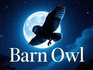 Barn Owl - The Ghost of the Night | Fascinating Animal Facts